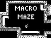 Gra Makro Labirynt w Internecie