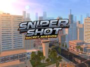Gra Secret Mission: Sniper Shot w Internecie
