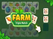 Gra Fermat: Triple Match w Internecie