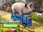 Gra Symulator mistrza kierowcy w Internecie
