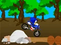 Gra Wyścig Cross Sonic w Internecie