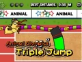 Gra Zwierzęce Igrzyska Olimpijskie: Skok Trójskokowy w Internecie