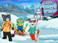 Gra Zimowa zabawa dla kotów w Internecie