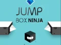Gra Ninja Skacząca Pudełko w Internecie