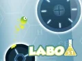 Gra Labo 51 w Internecie Gra Labo 51 w Internecie