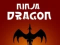 Gra Ninja Smok w Internecie