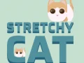 Gra Rozciągnięty Kot w Internecie