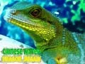 Gra Puzzle z chińskim smokiem wodnym w Internecie Gra Puzzle z chińskim smokiem wodnym w Internecie
