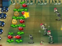Gra Zombie przeciwko Słoneczowi w Internecie