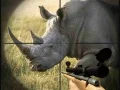 Gra Dzikie myśliwy nosorożców w Internecie Gra Dzikie myśliwy nosorożców w Internecie