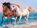 Gra Puzzle ze Zwierzętami: Konie w Internecie Gra Puzzle ze Zwierzętami: Konie w Internecie