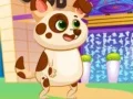 Gra Uroczy Wirtualny Pies w Internecie Gra Uroczy Wirtualny Pies w Internecie