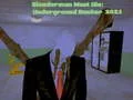 Gra Slenderman Musi Umrzeć: Podziemny Bunkier 2021 w Internecie