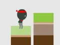 Gra Ninja Skok w Internecie
