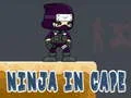 Gra Ninja w Pelerynie w Internecie