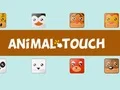 Gra Zwierzęta Toush w Internecie Gra Zwierzęta Toush w Internecie
