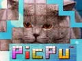 Gra PicPu Kot w Internecie Gra PicPu Kot w Internecie