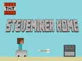 Gra Steveminer Dom w Internecie
