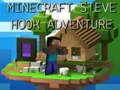Gra Przygoda Steve'a z Hakiem Minecrafta w Internecie