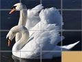 Gra Puzzle Przesuwane z Zwierzętami w Internecie Gra Puzzle Przesuwane z Zwierzętami w Internecie