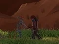 Gra Ninja Fazy w Internecie