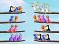 Gra Puzzle z Sortowaniem Ptaków w Internecie Gra Puzzle z Sortowaniem Ptaków w Internecie