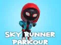 Gra Sky Runner Parkour w Internecie