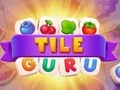 Gra Guru Płytek w Internecie