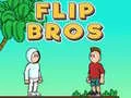 Gra Bracia Flip w Internecie Gra Bracia Flip w Internecie