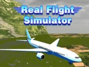 Gra Rzeczywisty Symulator Lotu w Internecie