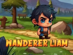 Gra Wędrowiec Liam w Internecie
