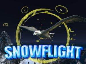 Gra Snow Flight w Internecie