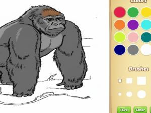 Gra Kolorowanka książka dla dzieci: Zwierząt zoo w Internecie