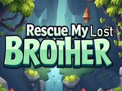 Gra Uratuj mojego zaginionego brata w Internecie
