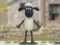 Gra Shaun the Sheep: Wełniany Skoczek! w Internecie
