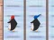 Gra Pinguin: Bieg Ryb w Internecie