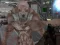 Gra Martwe Laboratorium 2 w Internecie