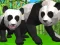 Gra Symulator Pandy 3D w Internecie