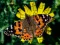 Gra Puzzle: Wiosna w Internecie