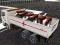 Gra Transport zwierząt domowych ciężarówką w Internecie
