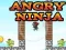 Gra Wkurzony Ninja w Internecie