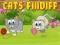 Gra Koty Findiff w Internecie