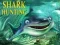 Gra Polowanie na rekiny w Internecie