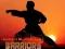 Gra Karate Wojownicy Zachodu Słońca w Internecie