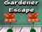 Gra Ucieczka Ogrodnika w Internecie