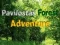 Gra Przygoda w lesie Pavilostas w Internecie
