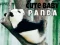Gra Słodki mały panda w Internecie