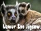 Gra Puzzle ZOO Lemurów w Internecie