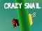 Gra Zwariowana ślimak w Internecie
