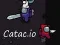 Gra Catac.io w Internecie Gra Catac.io w Internecie
